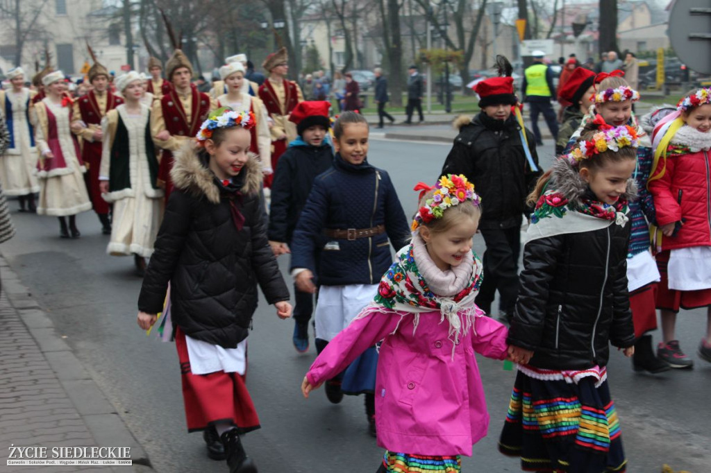 Obchody 11 listopada w Sokołowie Podlaskim