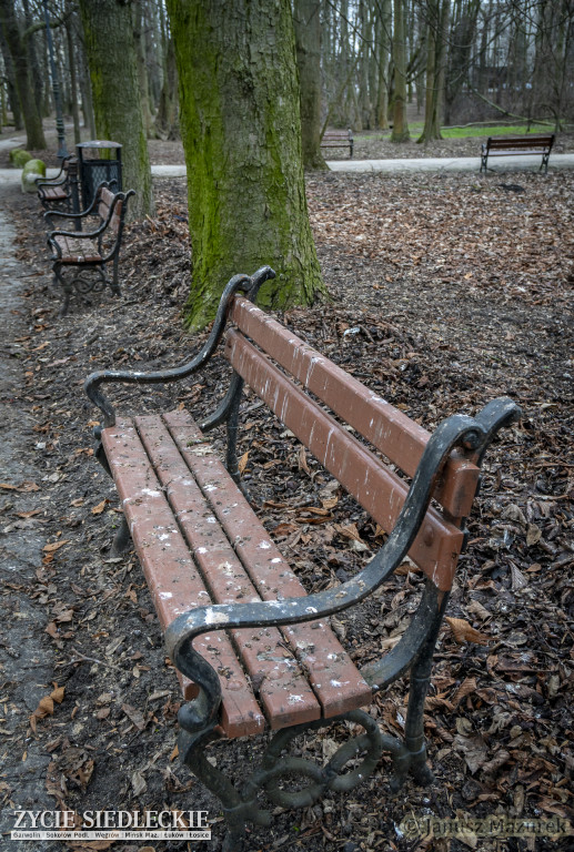 Przedwiośnie w siedleckim parku