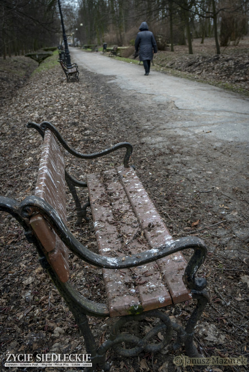 Przedwiośnie w siedleckim parku