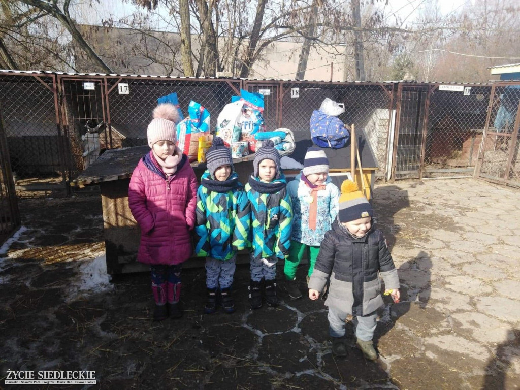 Przedszkolaki w Grochowa w schronisku