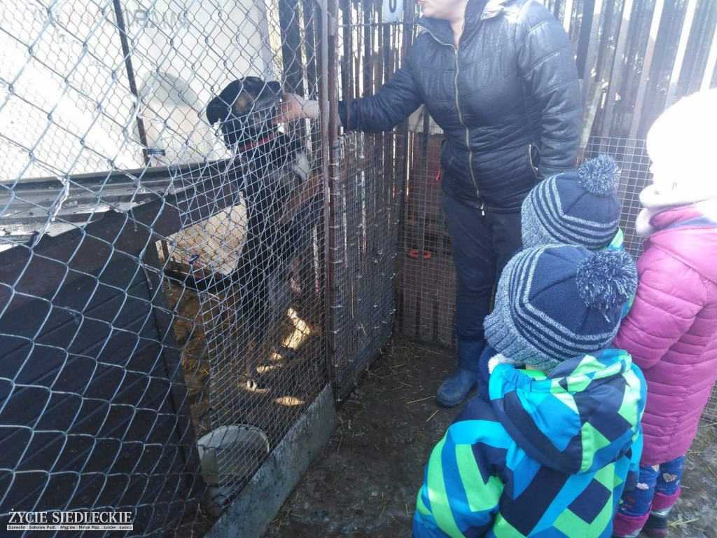 Przedszkolaki w Grochowa w schronisku
