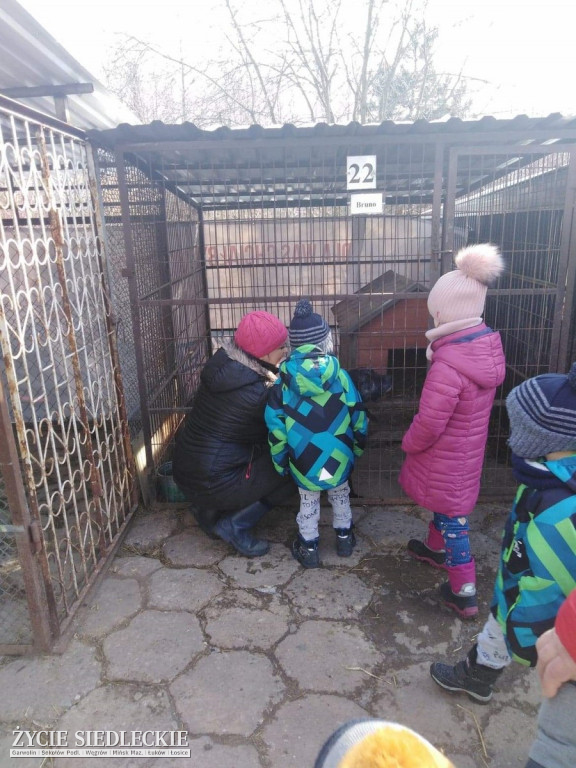 Przedszkolaki w Grochowa w schronisku