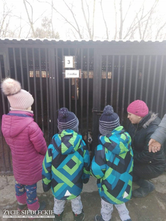 Przedszkolaki w Grochowa w schronisku