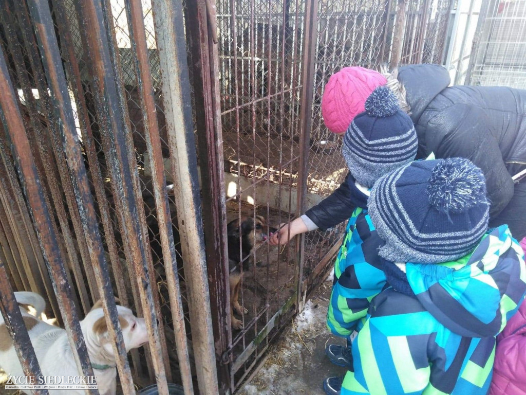 Przedszkolaki w Grochowa w schronisku