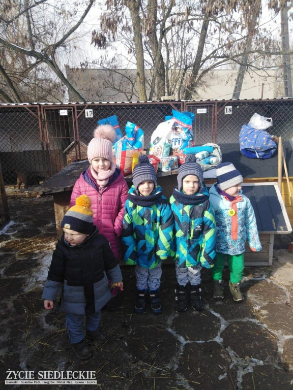 Przedszkolaki w Grochowa w schronisku