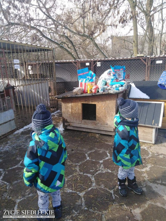 Przedszkolaki w Grochowa w schronisku