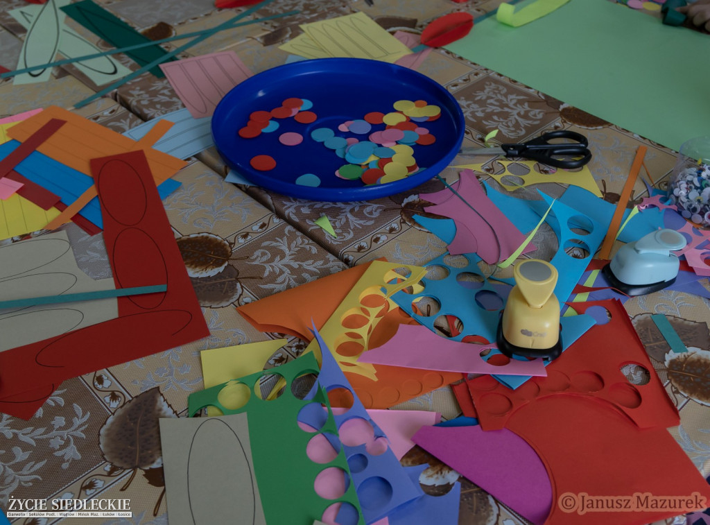 Szeroka gama zajęć w klubie