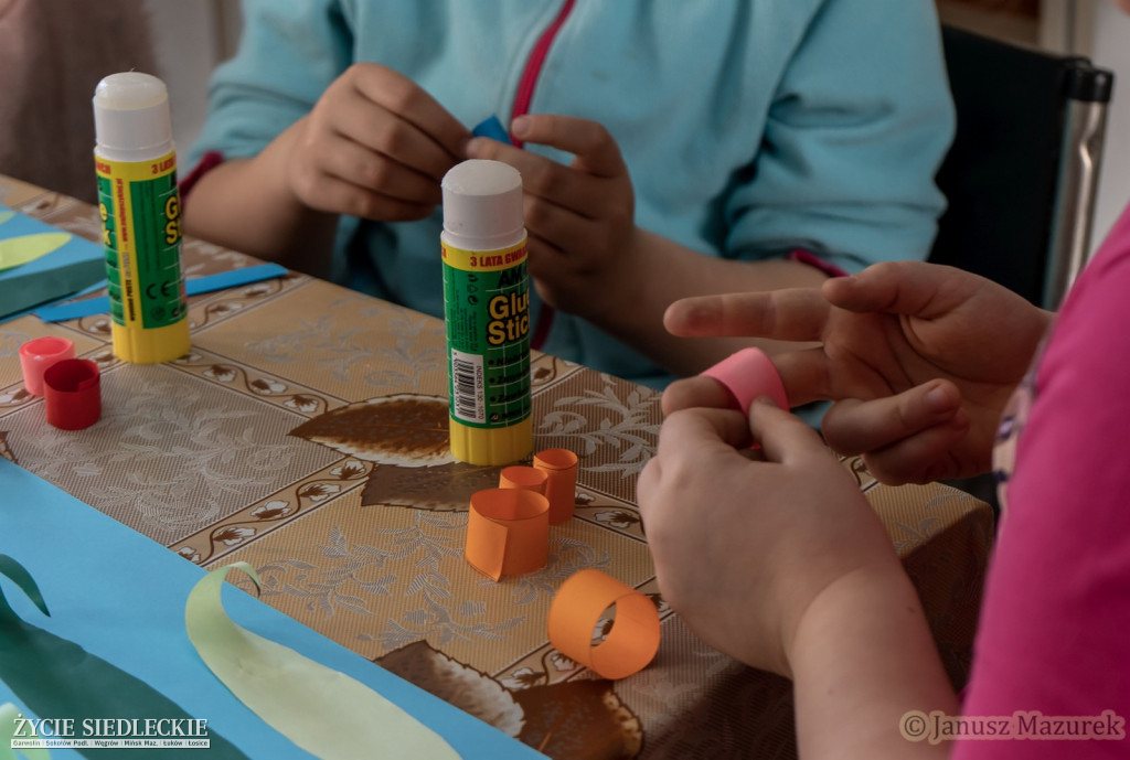 Szeroka gama zajęć w klubie