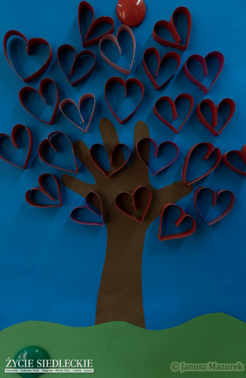 Szeroka gama zajęć w klubie