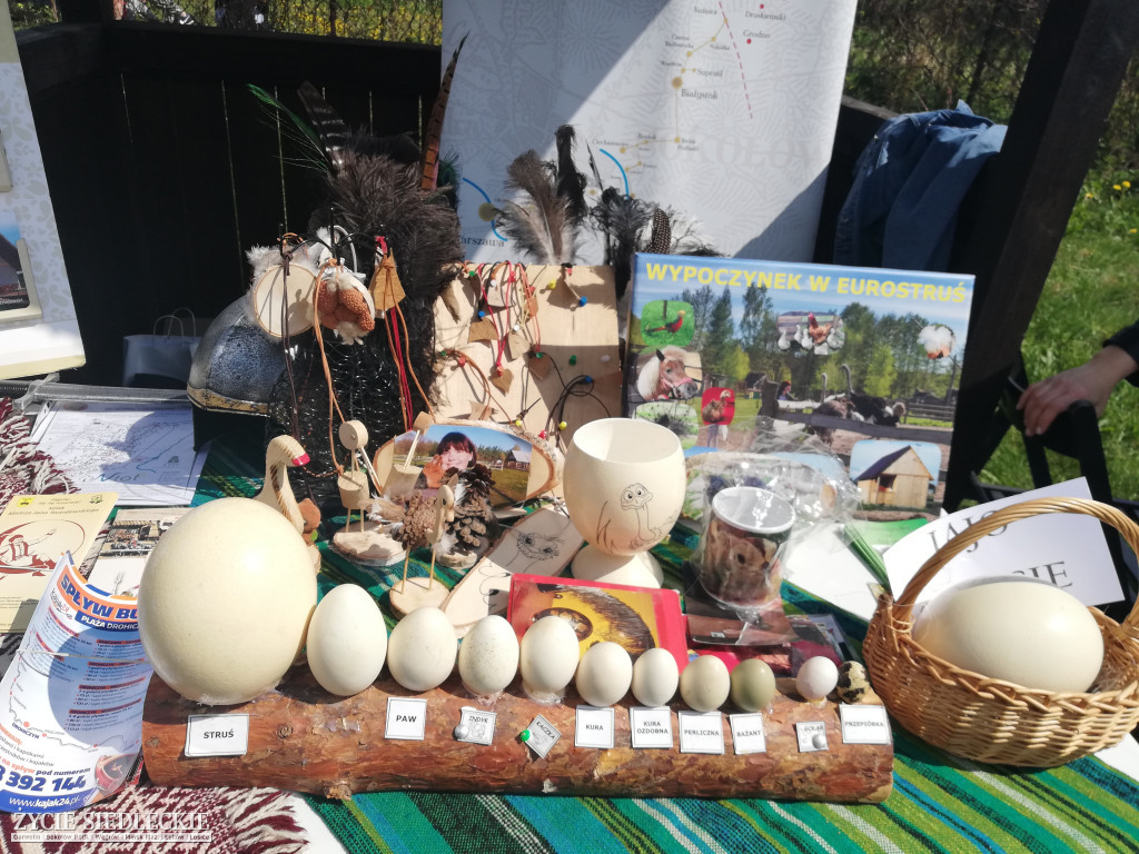 Park Kulturowo-Historyczny w Liwie już otwarty