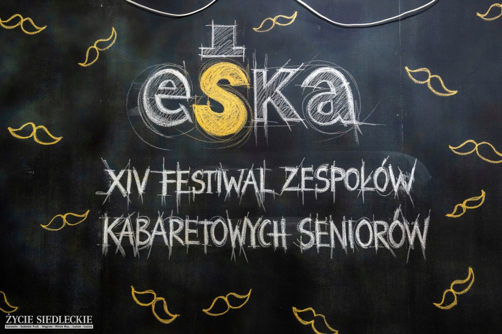 XIV Festiwal eSKa za nami