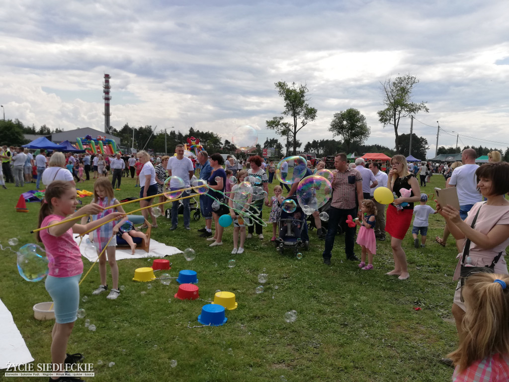  V Festyn Rodzin Zastępczych w Węgrowie