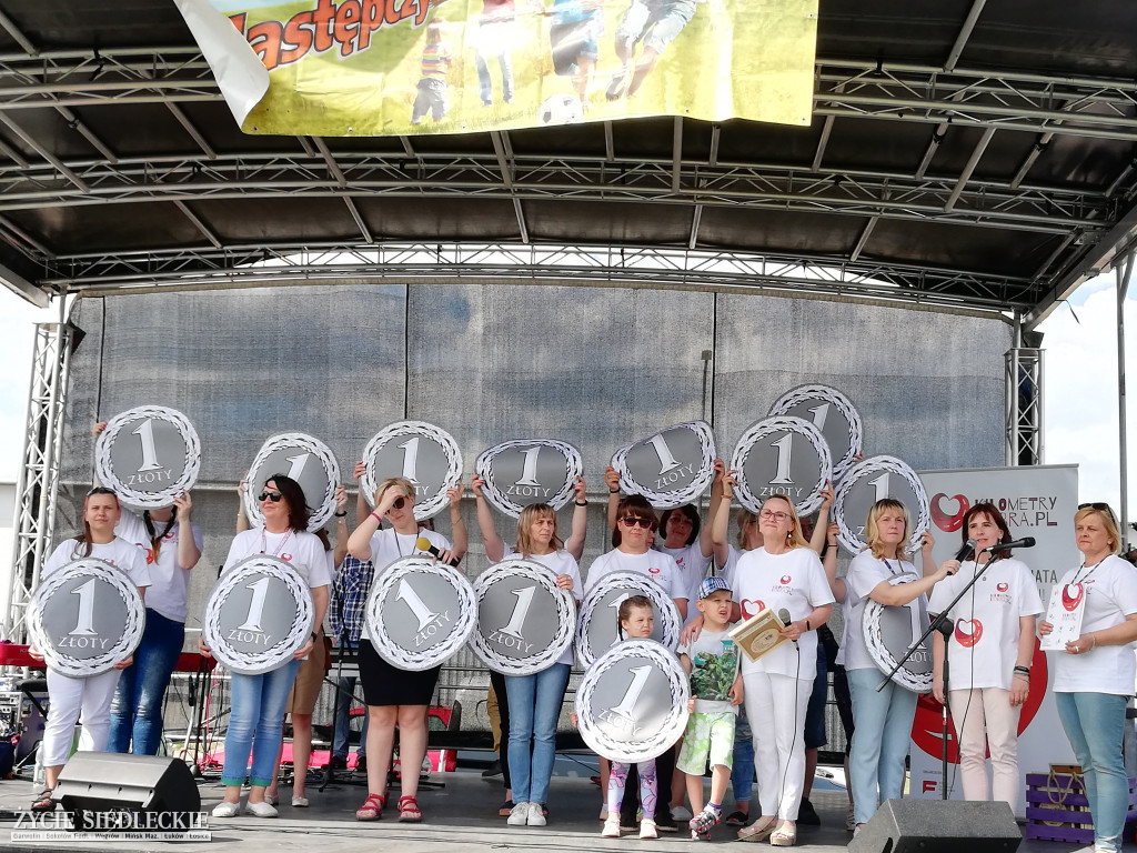  V Festyn Rodzin Zastępczych w Węgrowie