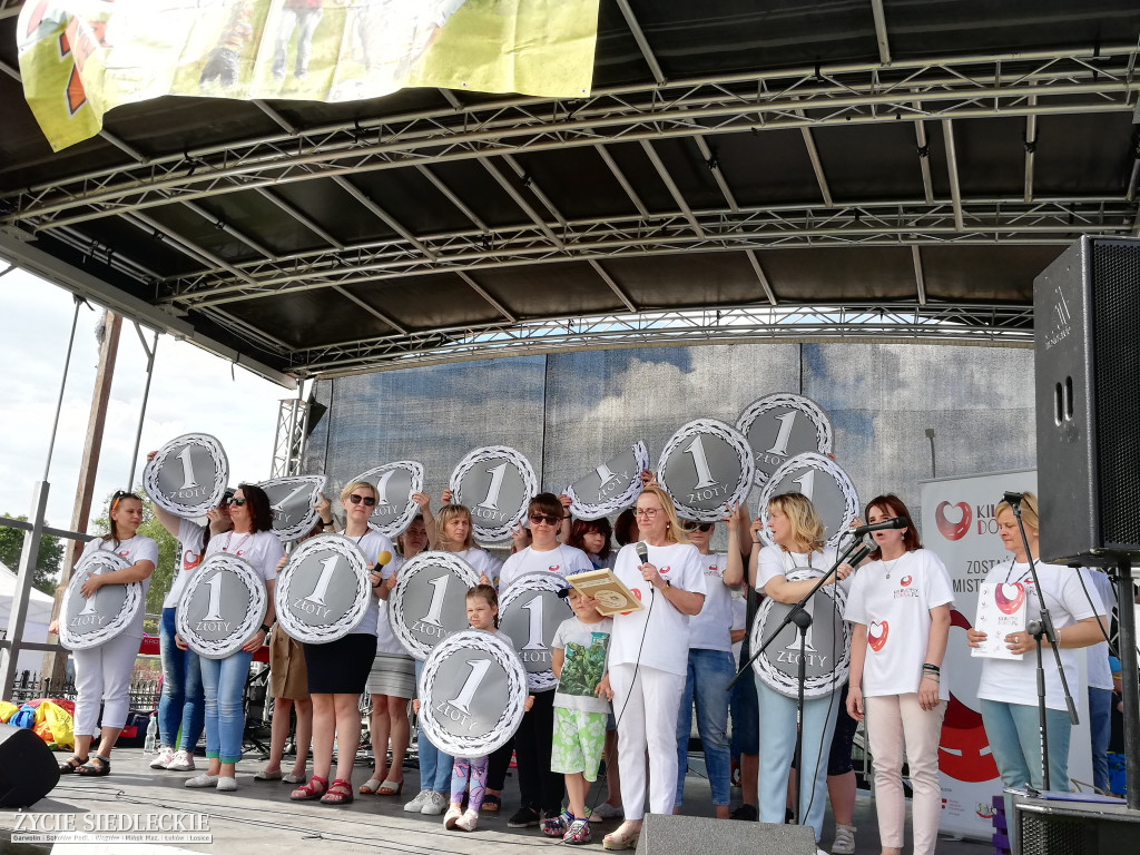  V Festyn Rodzin Zastępczych w Węgrowie