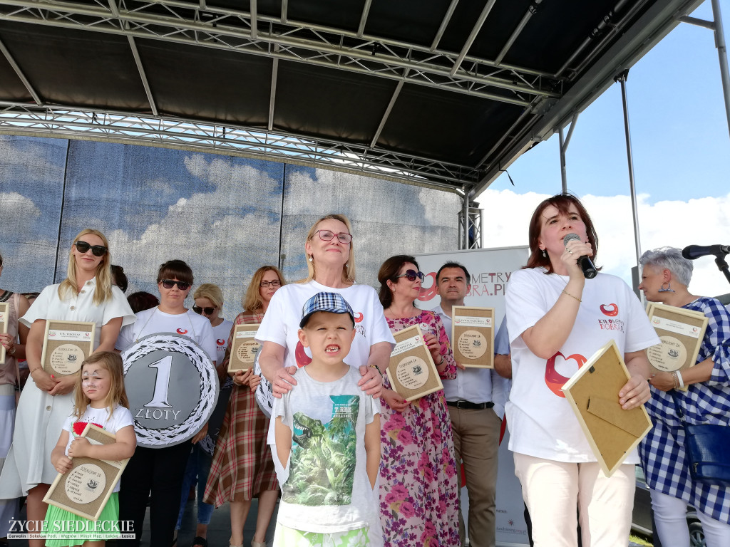  V Festyn Rodzin Zastępczych w Węgrowie