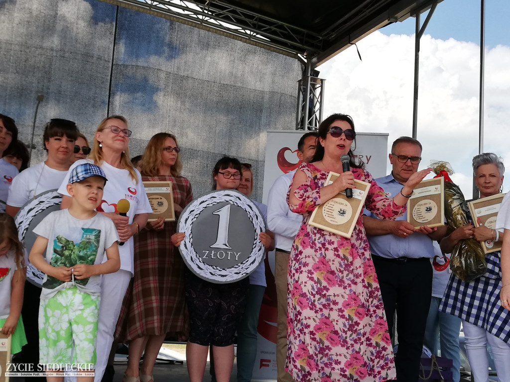  V Festyn Rodzin Zastępczych w Węgrowie