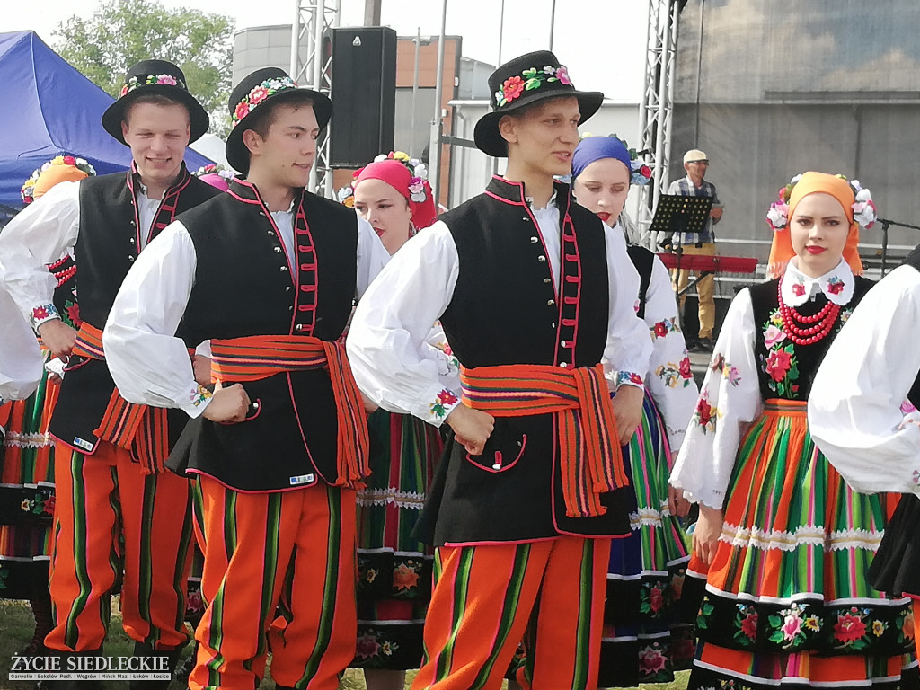  V Festyn Rodzin Zastępczych w Węgrowie