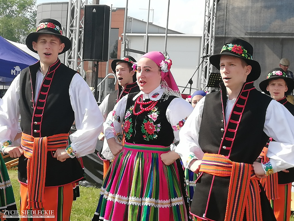  V Festyn Rodzin Zastępczych w Węgrowie