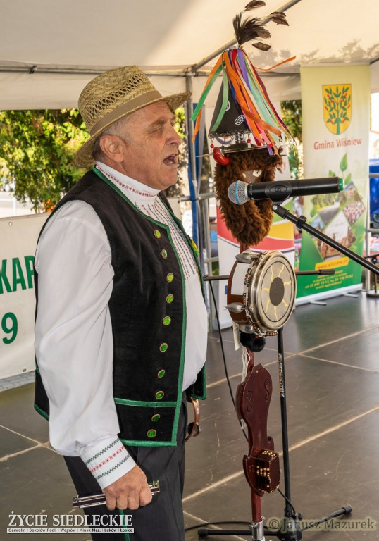 Pod Siedlcami w Wiśniewie