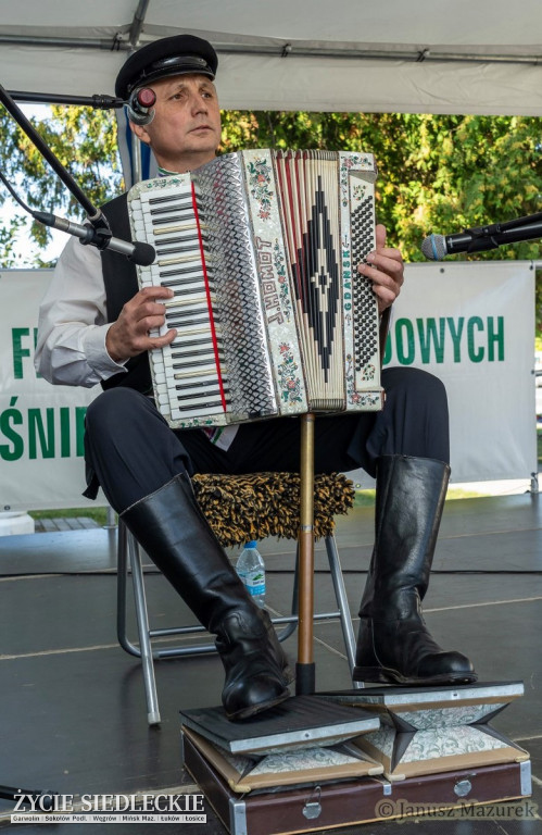 Pod Siedlcami w Wiśniewie