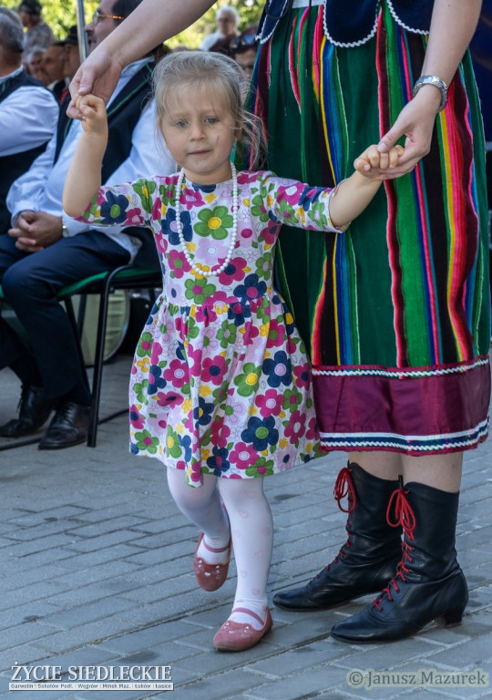 Pod Siedlcami w Wiśniewie