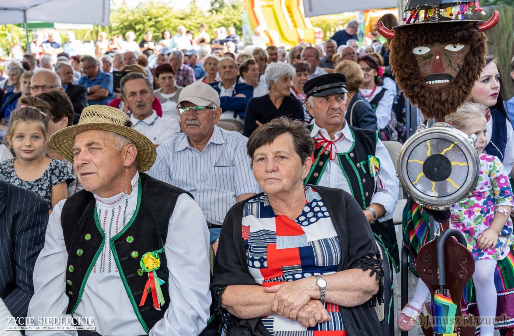Pod Siedlcami w Wiśniewie