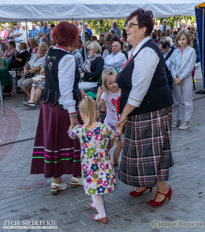 Pod Siedlcami w Wiśniewie