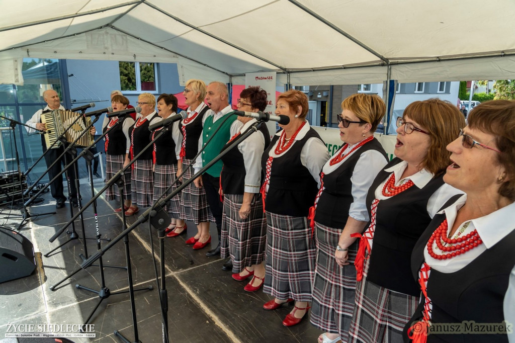 Pod Siedlcami w Wiśniewie