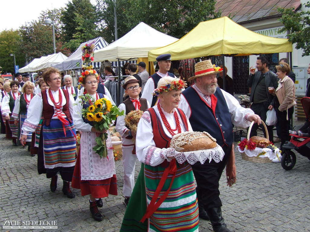 Mazowieckie Święto Chleba i Sera w Węgrowie