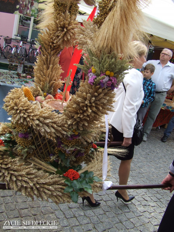 Mazowieckie Święto Chleba i Sera w Węgrowie