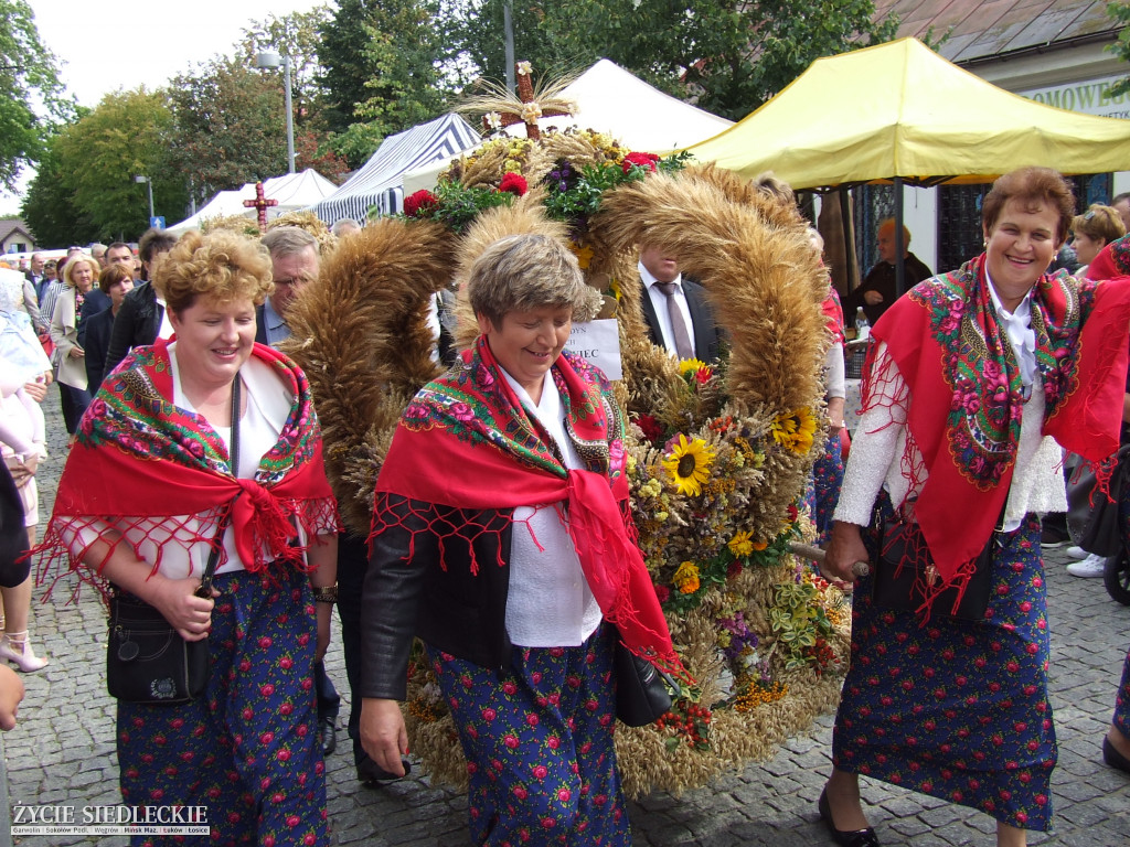 Mazowieckie Święto Chleba i Sera w Węgrowie