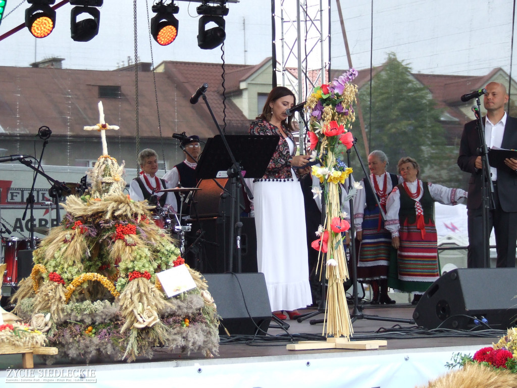 Mazowieckie Święto Chleba i Sera w Węgrowie