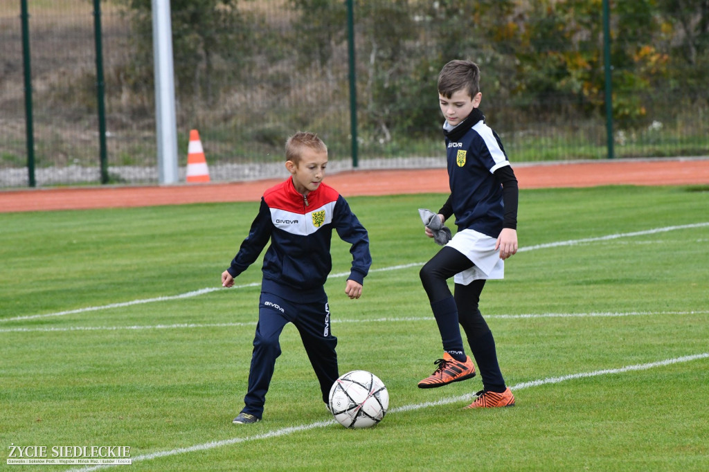 Otwarcie stadionu w Wiśniewie