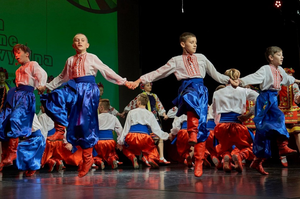 Co wycina Polska i Ukraina?