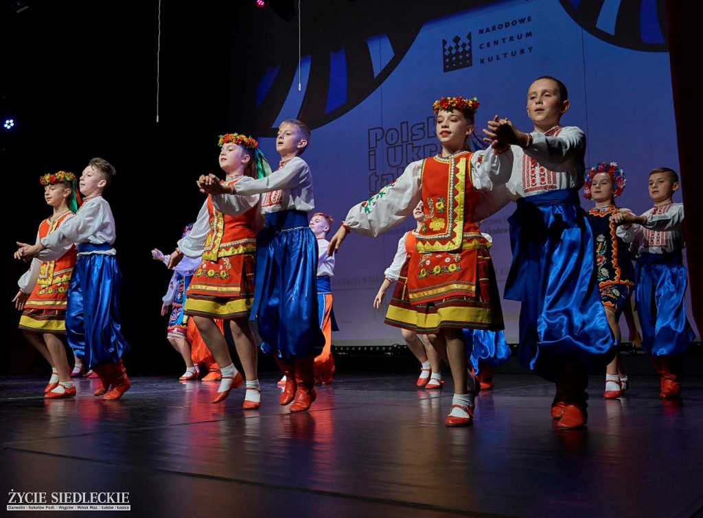 Co wycina Polska i Ukraina?