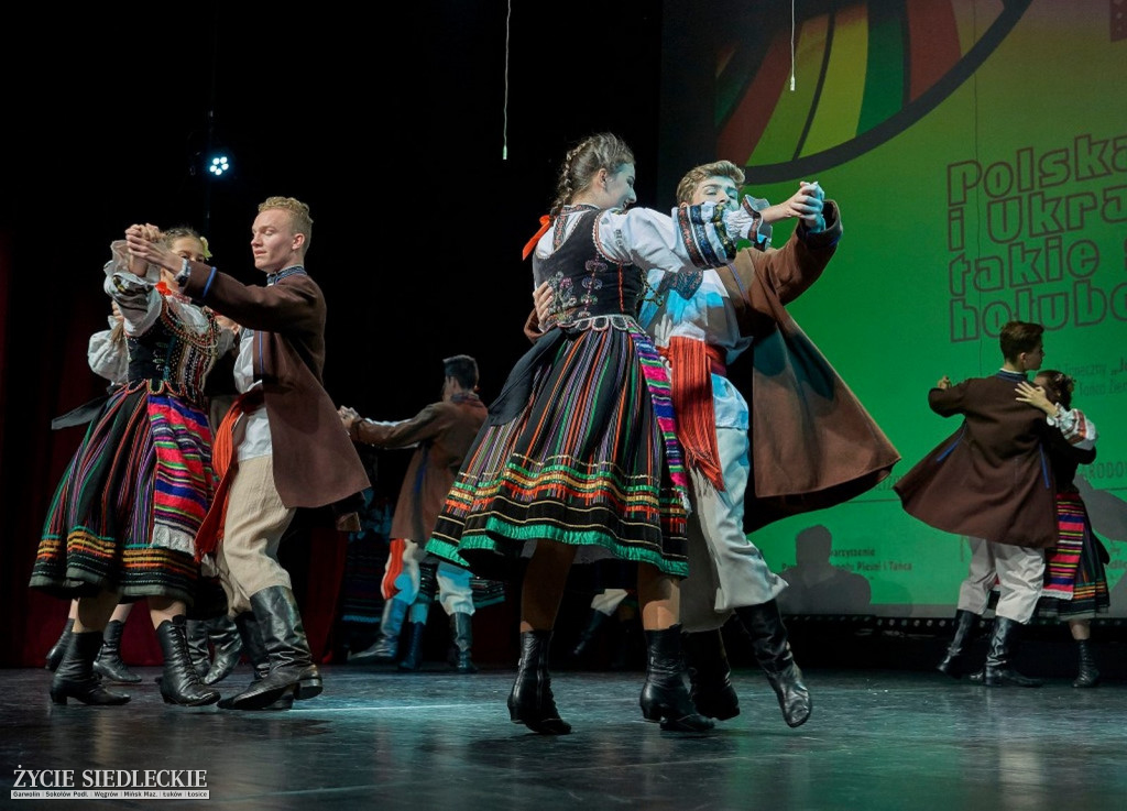 Co wycina Polska i Ukraina?