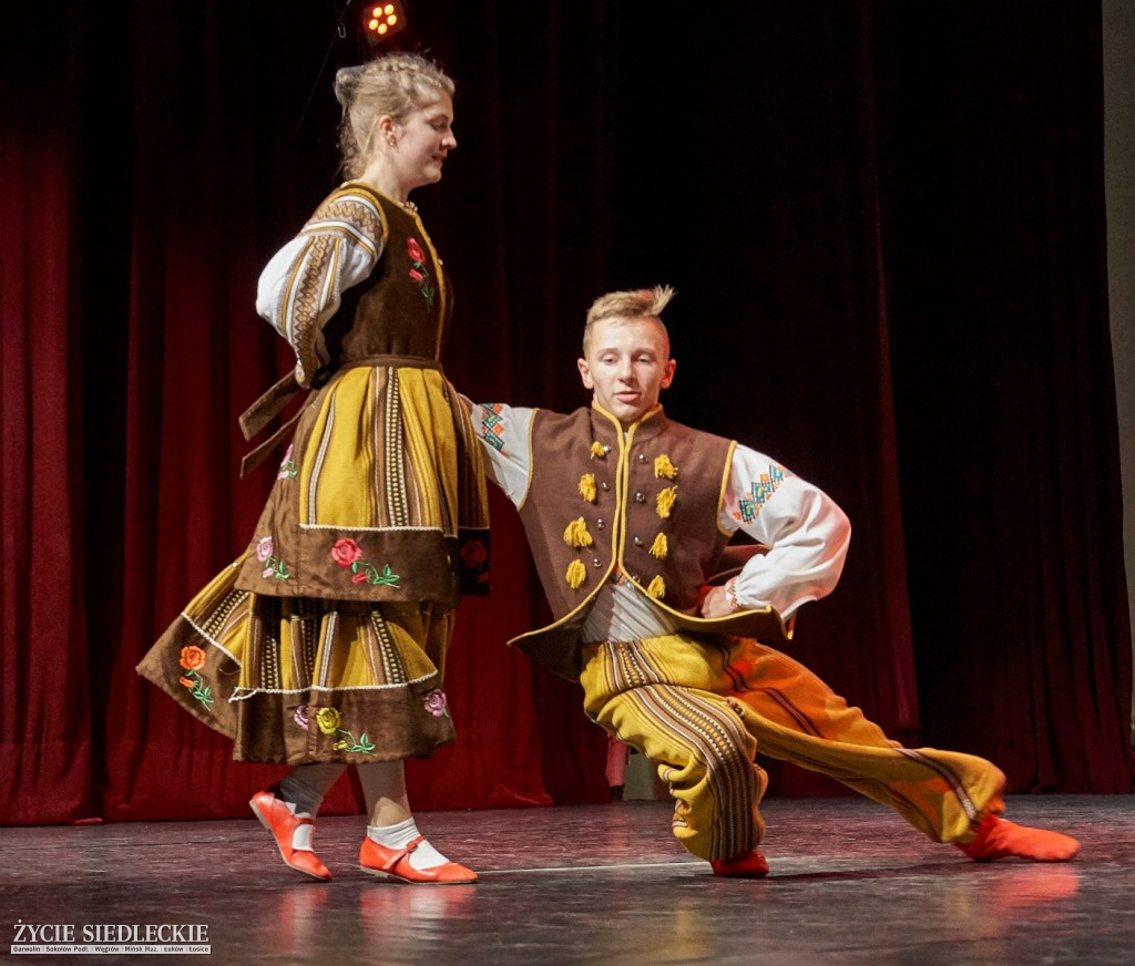 Co wycina Polska i Ukraina?