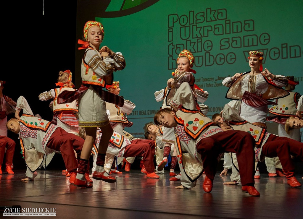 Co wycina Polska i Ukraina?