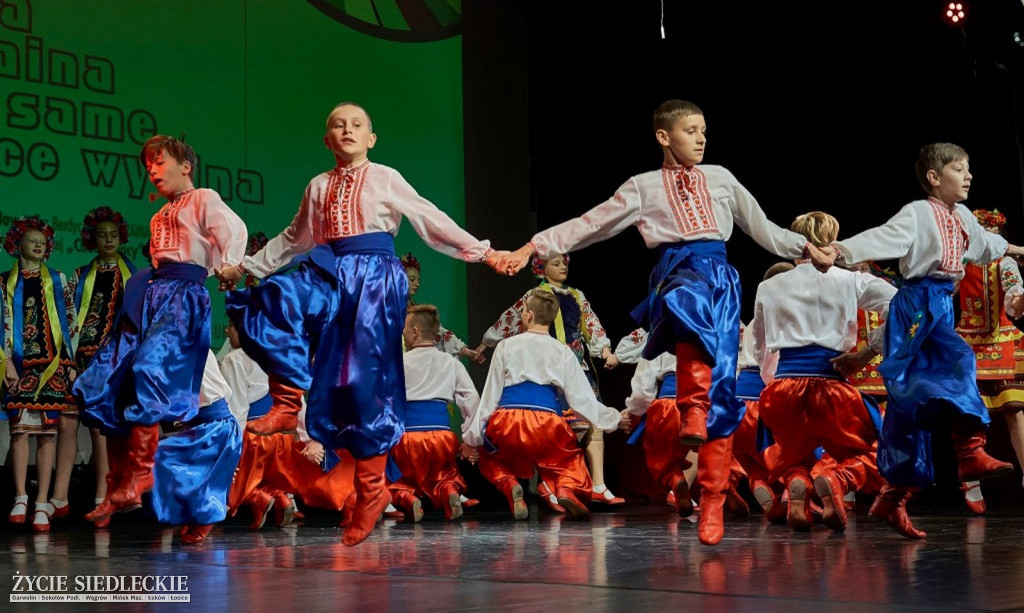 Co wycina Polska i Ukraina?