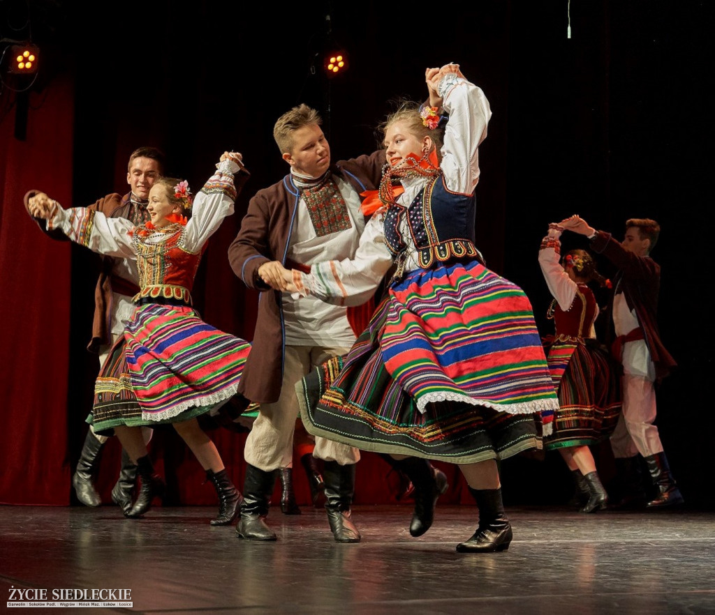 Co wycina Polska i Ukraina?