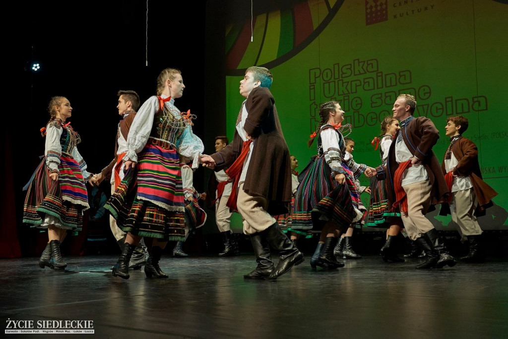 Co wycina Polska i Ukraina?
