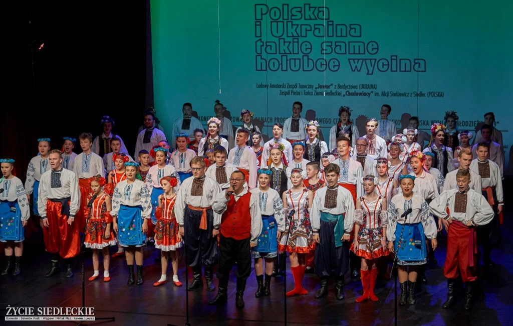 Co wycina Polska i Ukraina?