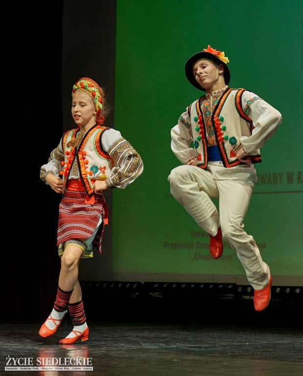 Co wycina Polska i Ukraina?