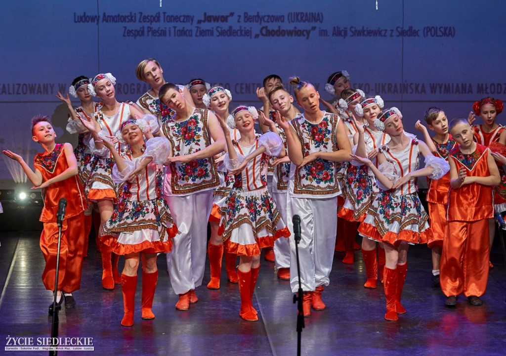 Co wycina Polska i Ukraina?