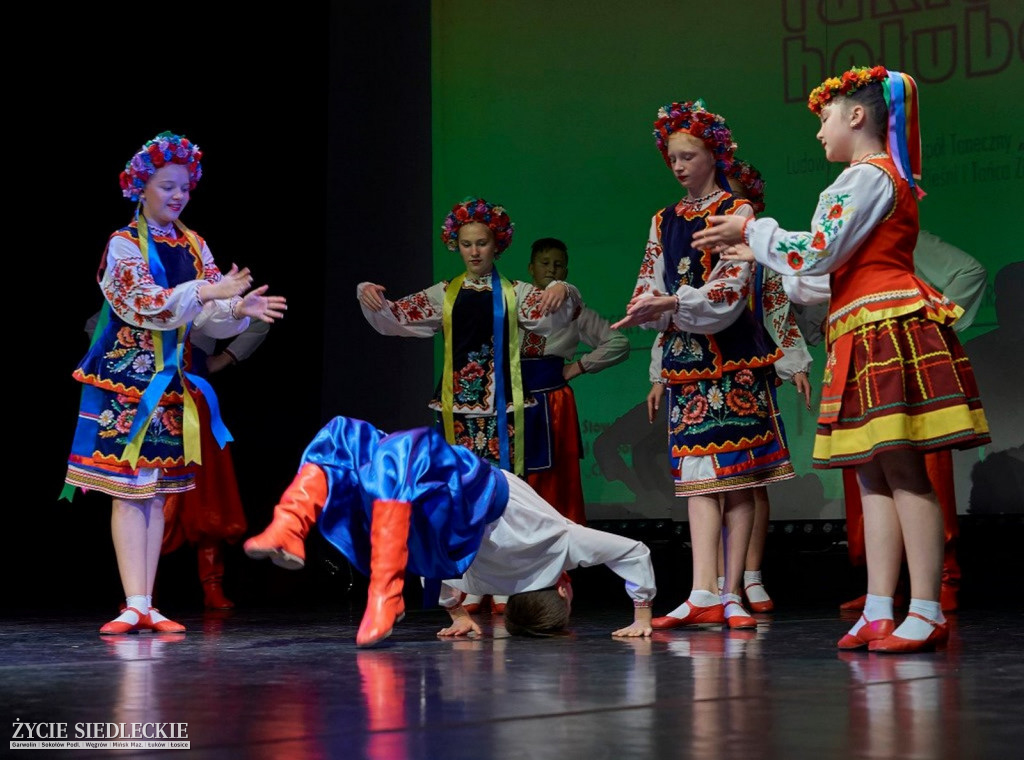 Co wycina Polska i Ukraina?
