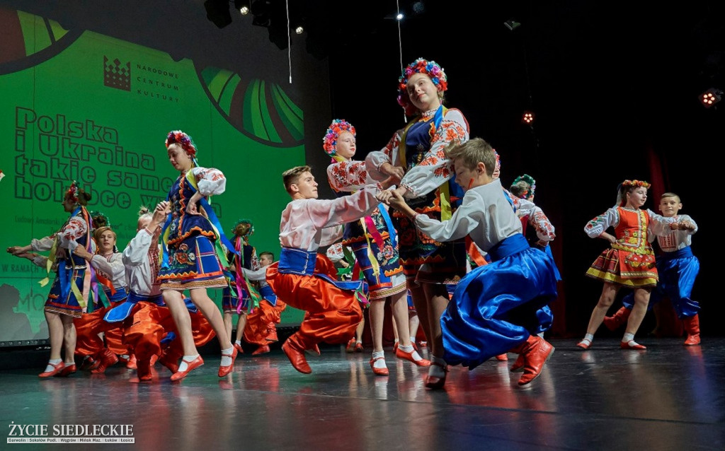 Co wycina Polska i Ukraina?