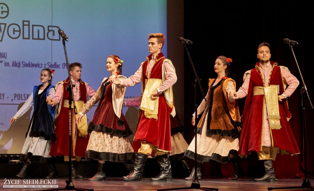 Co wycina Polska i Ukraina?