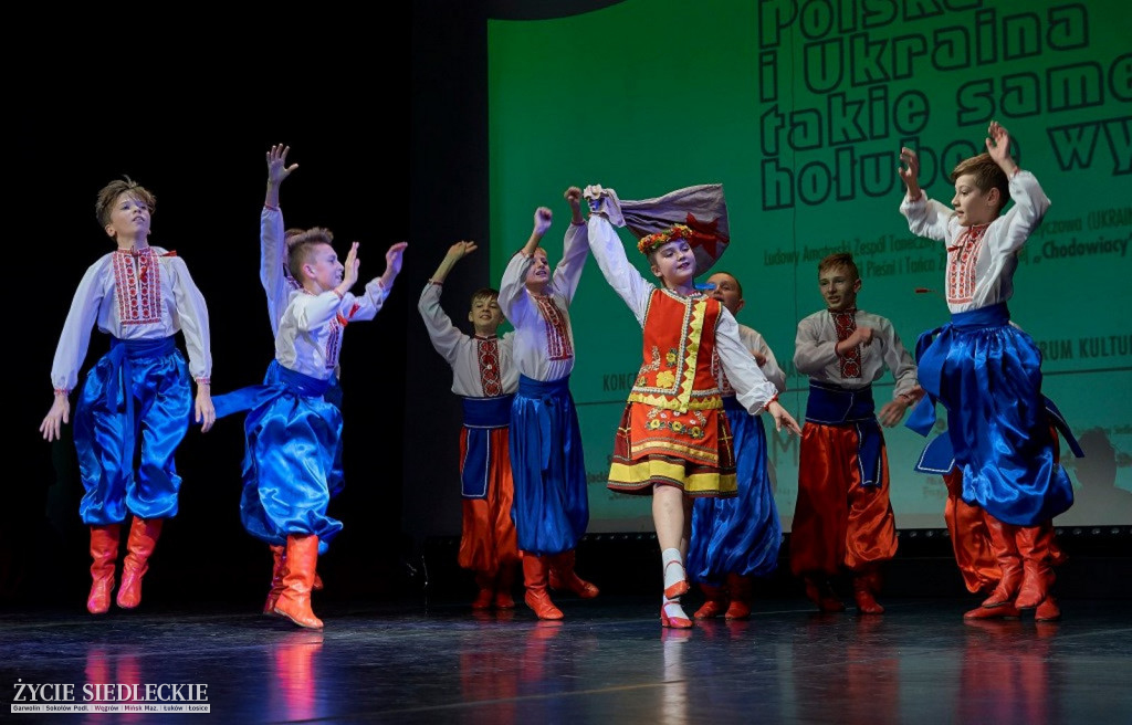 Co wycina Polska i Ukraina?