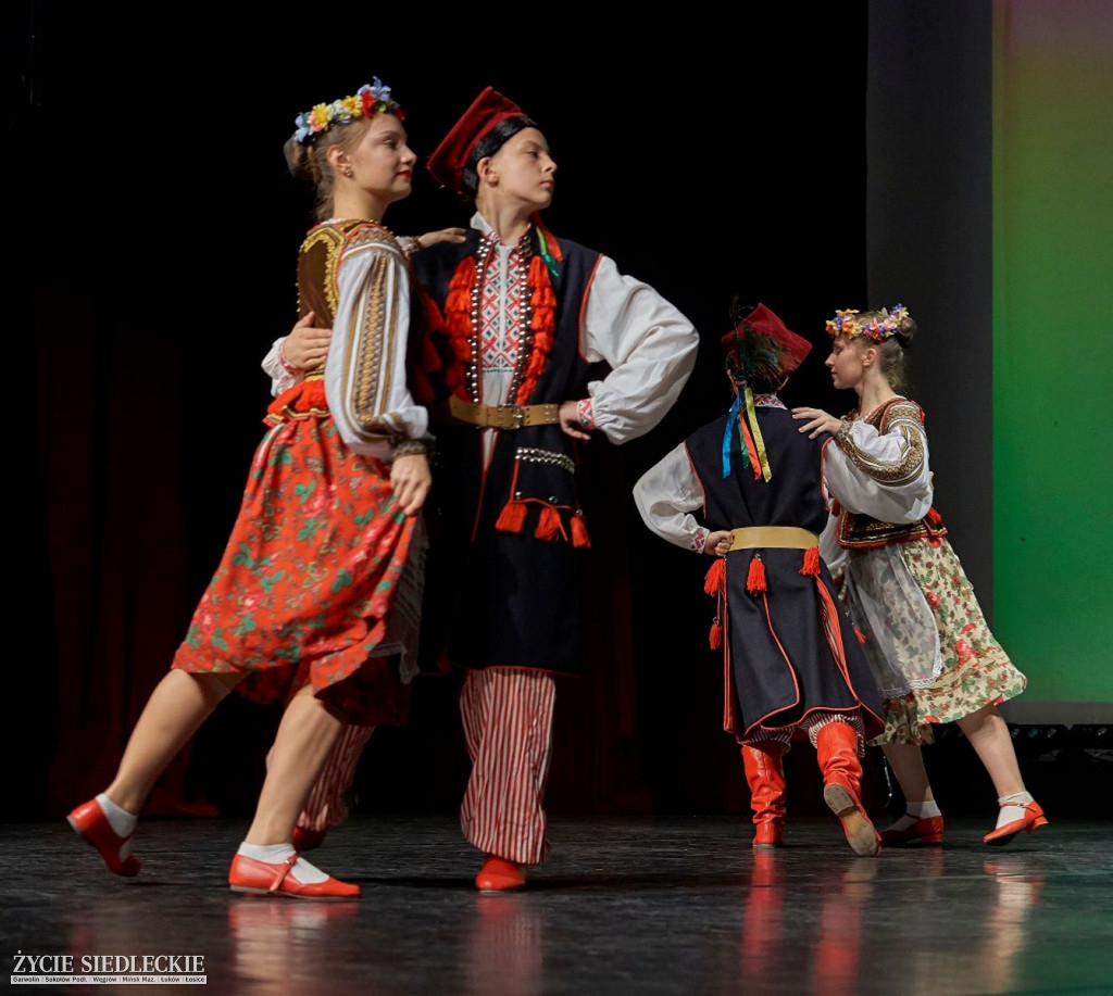 Co wycina Polska i Ukraina?
