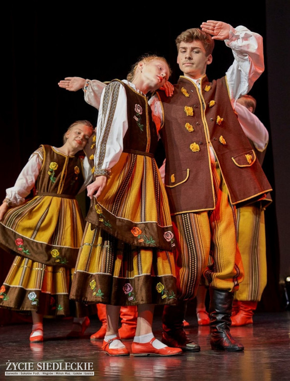 Co wycina Polska i Ukraina?